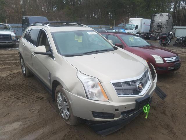 CADILLAC SRX LUXURY 2010 with VIN 3GYFNDEYXAS640982 - Photo from auction