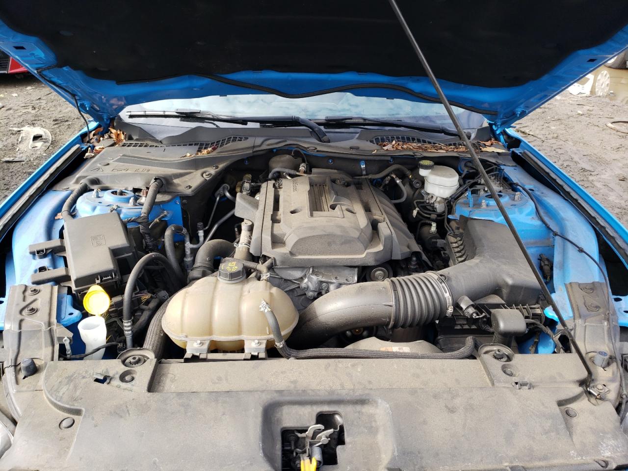 Photo 7 from auction – 2017 FORD MUSTANG with VIN 1FA6P8TH9H5236818