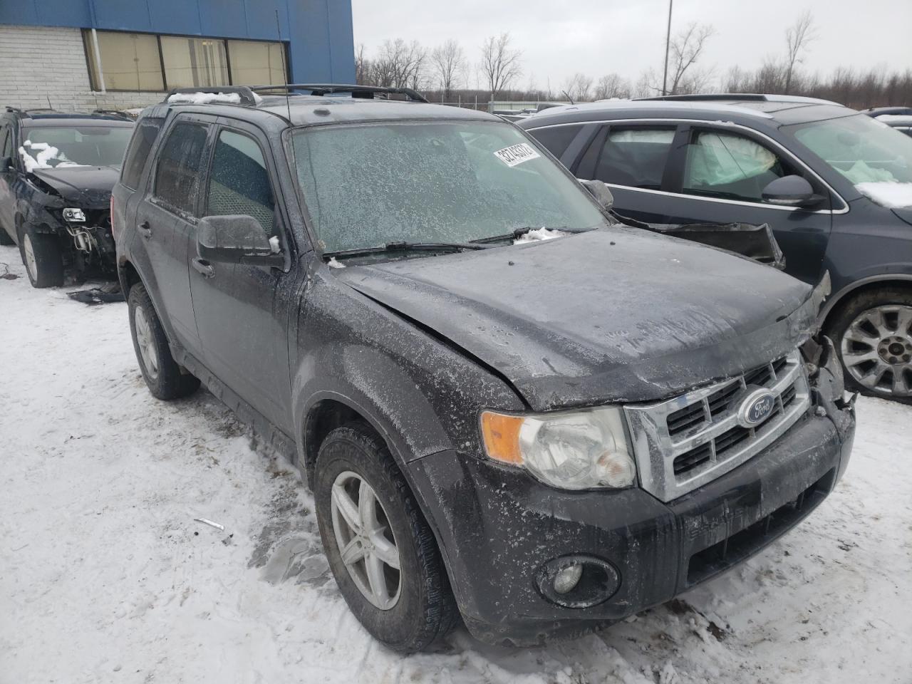 FORD ESCAPE XLT 2011 with VIN 1FMCU9DG3BKB30256 - Photo from auction