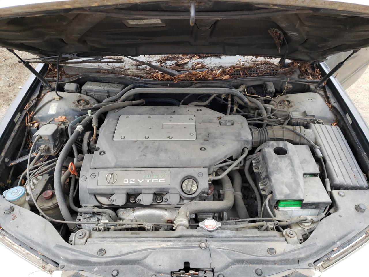 Photo 7 from auction – 2002 ACURA TL with VIN 19UUA56602A021307