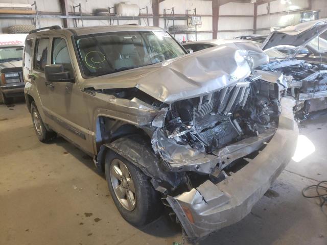 JEEP LIBERTY SP 2011 with VIN 1J4PN2GK1BW524979 - Photo from auction