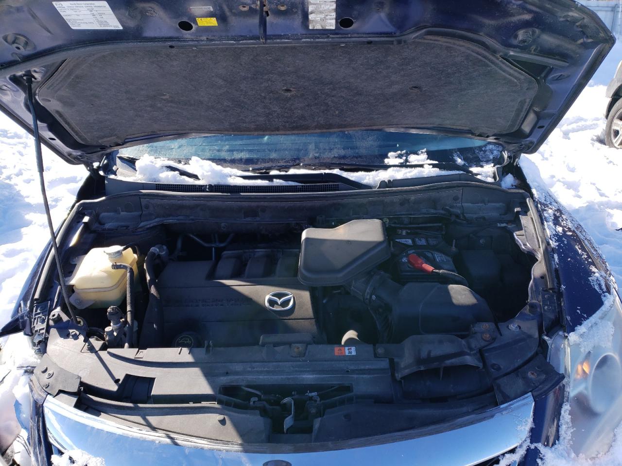 Photo 7 from auction – 2010 MAZDA CX-9 with VIN JM3TB2MA6A0221441