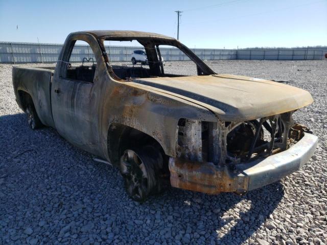 CHEVROLET SILVERADO 2008 with VIN 1GCEC14X78Z257559 - Photo from auction