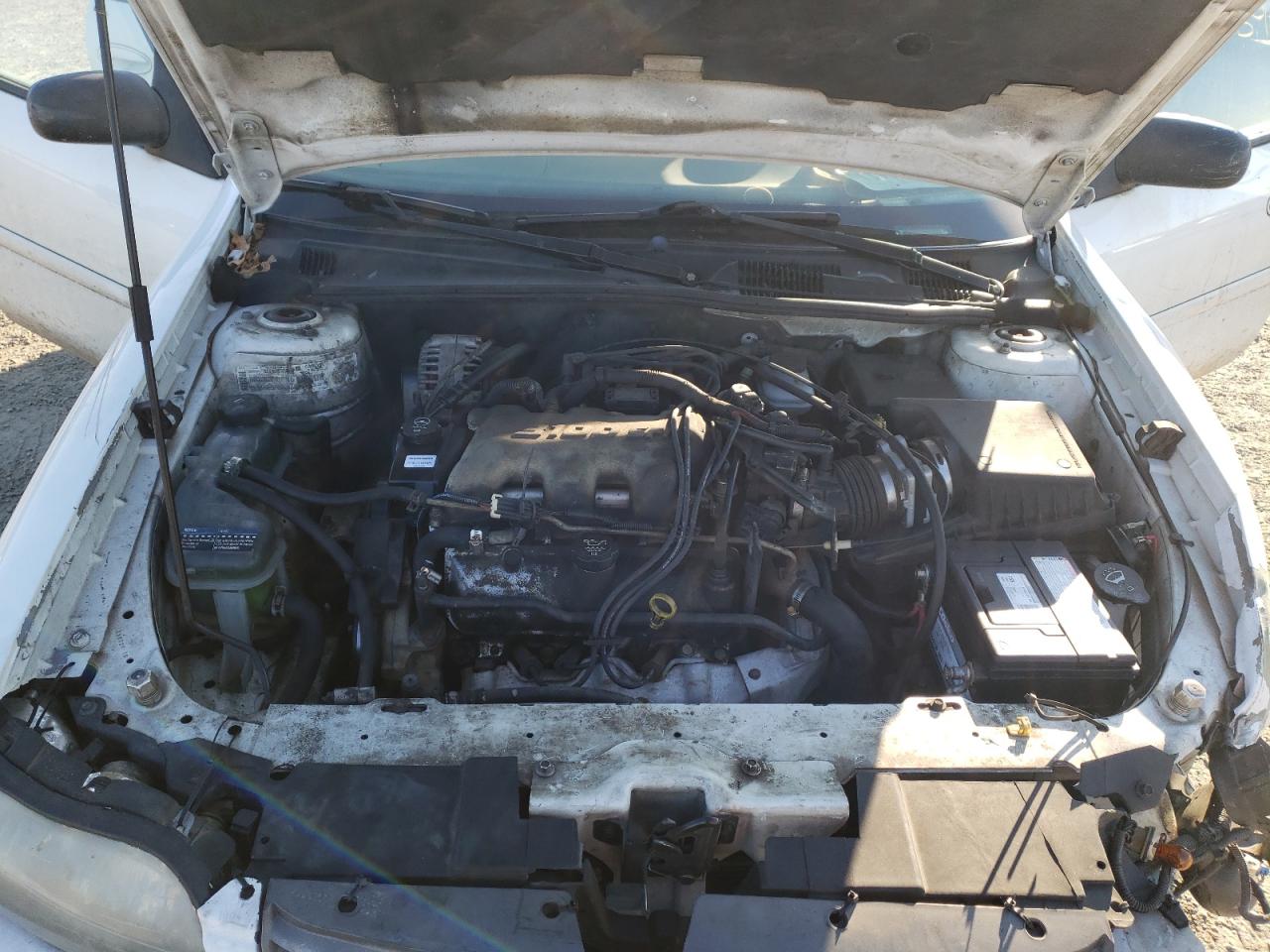 Photo 7 from auction – 2002 CHEVROLET MALIBU with VIN 1G1ND52J22M684888