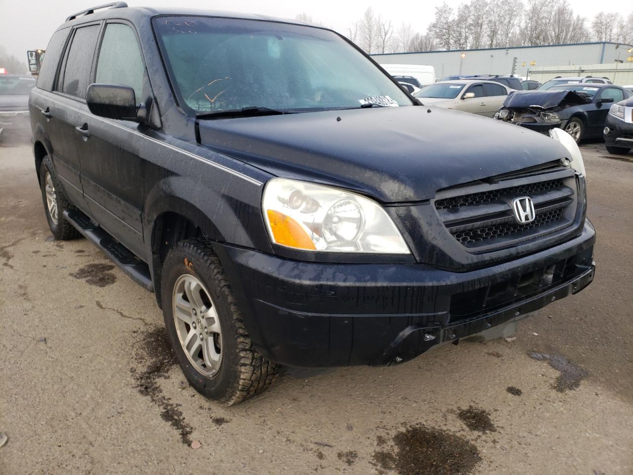 HONDA PILOT EXL 2004 with VIN 2HKYF187X4H576227 - Photo from auction