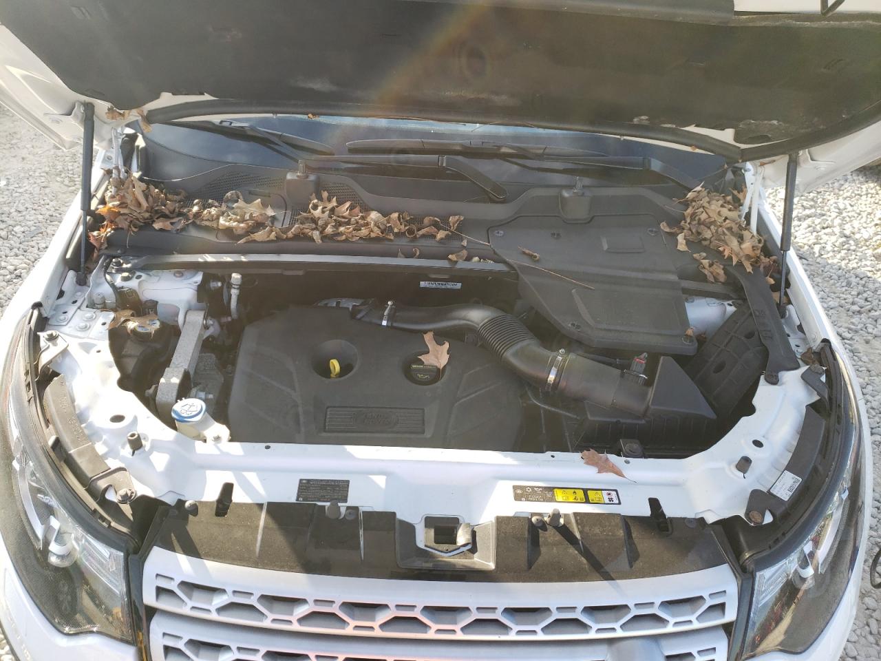 Photo 7 from auction – 2017 LAND ROVER DISCOVERY with VIN SALCR2BG3HH702912