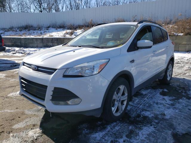 Photo 2 from auction – 2014 FORD ESCAPE SE with VIN 1FMCU9GX0EUA88780