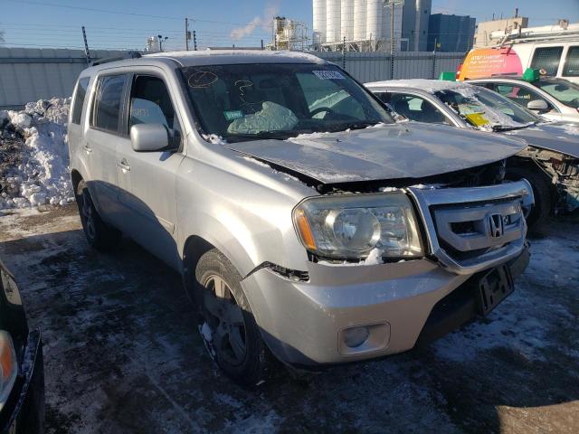 HONDA PILOT EX 2016 with VIN 5FNYF4H46BB054133 - Photo from auction
