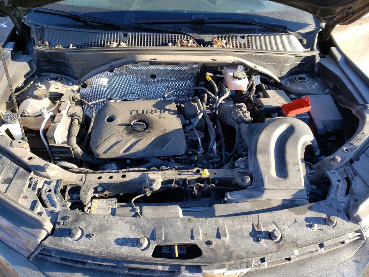 Photo 7 from auction – 2021 CHEVROLET TRAILBLAZE with VIN KL79MSSLXMB091381