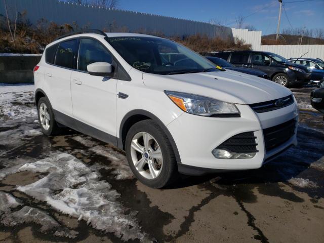 Photo 1 from auction – 2014 FORD ESCAPE SE with VIN 1FMCU9GX0EUA88780