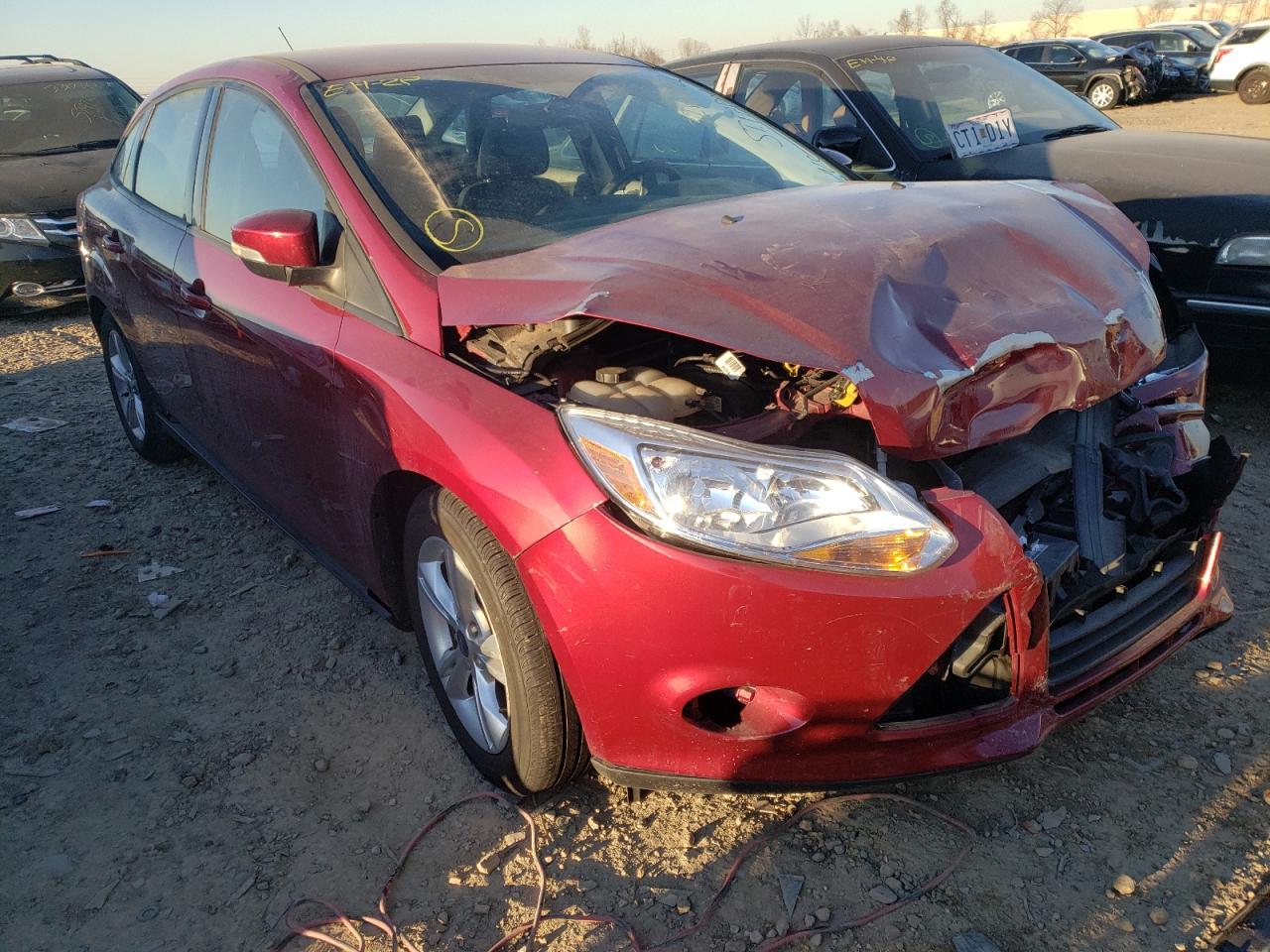 FORD FOCUS SE 2014 with VIN 1FADP3F21EL381523 - Photo from auction