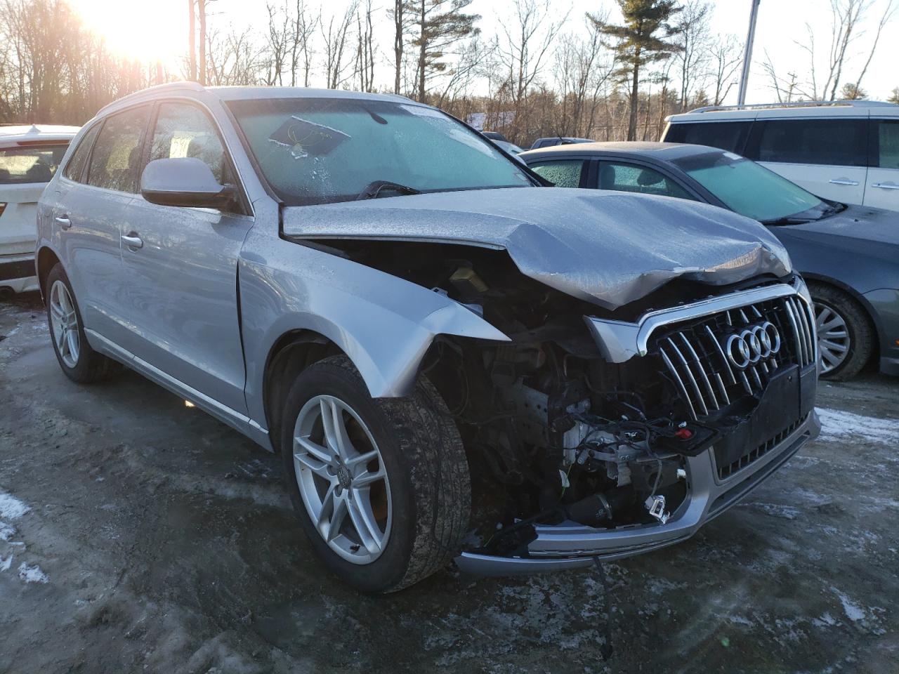AUDI Q5 PREMIUM 2017 with VIN WA1C2AFP0HA098237 - Photo from auction
