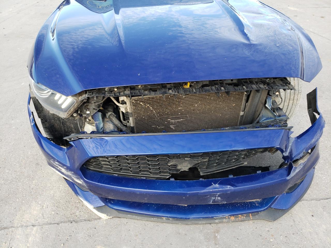 Photo 9 from auction – 2016 FORD MUSTANG with VIN 1FA6P8AM3G5326352