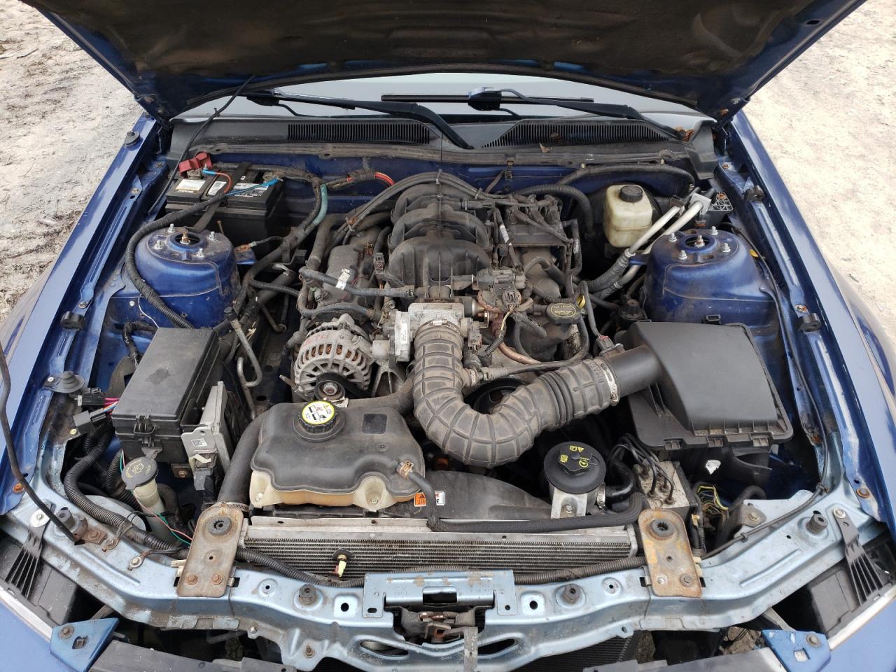 Photo 7 from auction – 2007 FORD MUSTANG with VIN 1ZVHT80N575266306