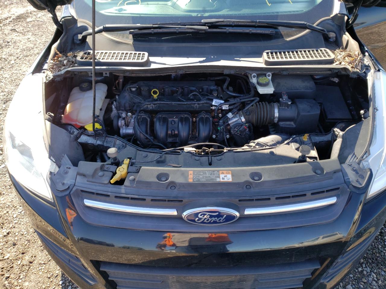 Photo 7 from auction – 2016 FORD ESCAPE SE with VIN 1FMCU0G71GUA61554