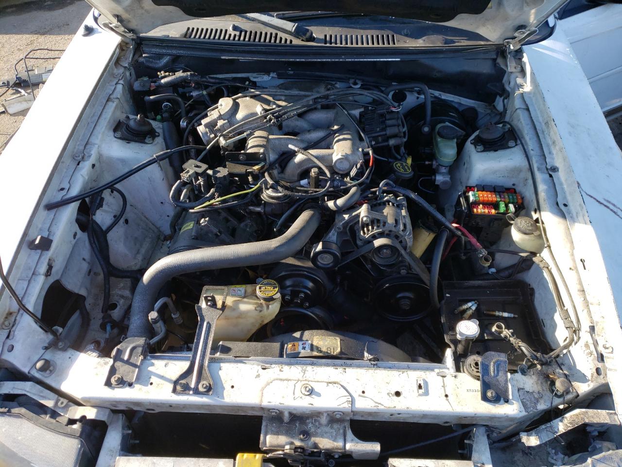 Photo 7 from auction – 2002 FORD MUSTANG with VIN 1FAFP44412F180749