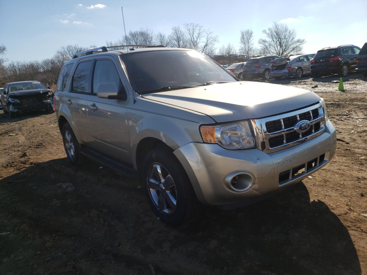 FORD ESCAPE LIM 2010 with VIN 1FMCU0EG8AKC21774 - Photo from auction