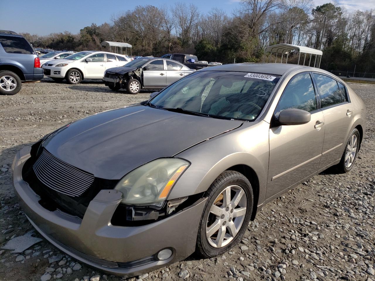 Photo 2 from auction – 2004 NISSAN MAXIMA SE with VIN 1N4BA41E64C912861