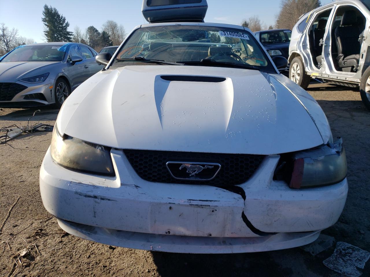 Photo 9 from auction – 2002 FORD MUSTANG with VIN 1FAFP44412F180749