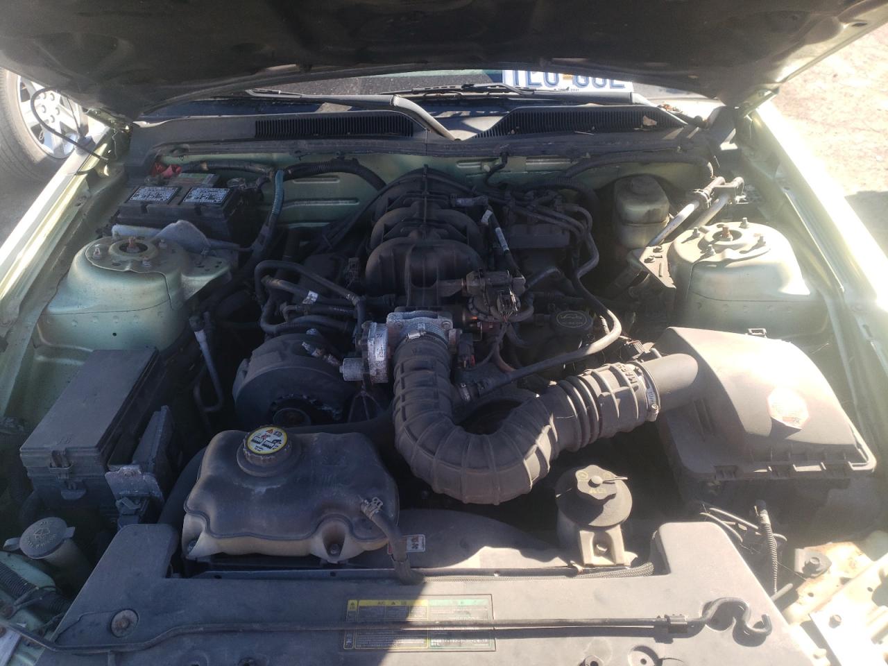 Photo 7 from auction – 2005 FORD MUSTANG with VIN 1ZVFT80N355236905