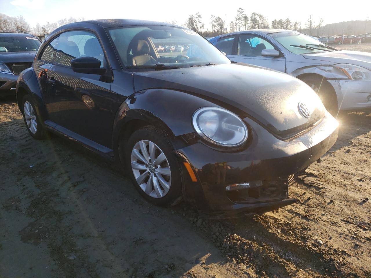VOLKSWAGEN BEETLE 2013 with VIN 3VWFP7AT6DM630693 - Photo from auction