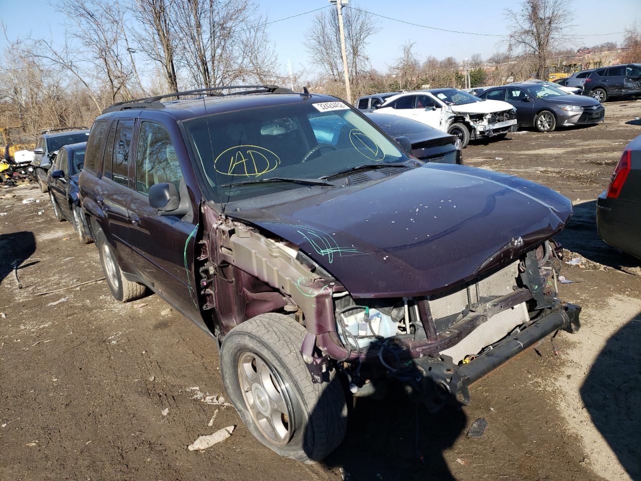 CHEVROLET TRAILBLAZE 2008 with VIN 1GNDS13S482220523 - Photo from auction