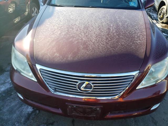 Photo 7 from auction – 2009 LEXUS LS 460 with VIN JTHCL46FX95002666