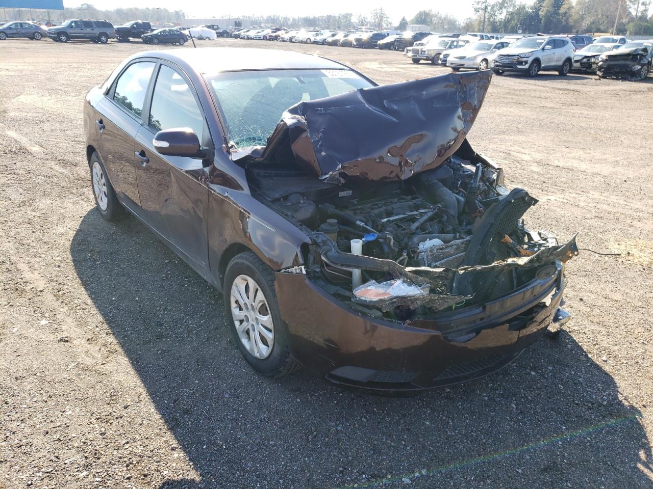 KIA FORTE EX 2010 with VIN KNAFU4A23A5855041 - Photo from auction