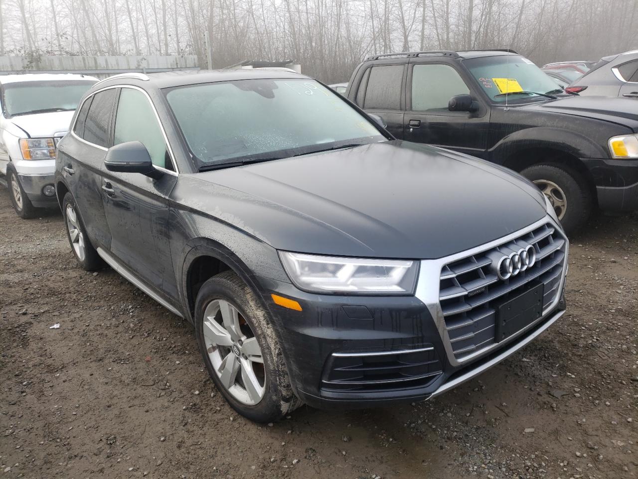 AUDI Q5 PREMIUM 2018 with VIN WA1BNAFY8J2225859 - Photo from auction
