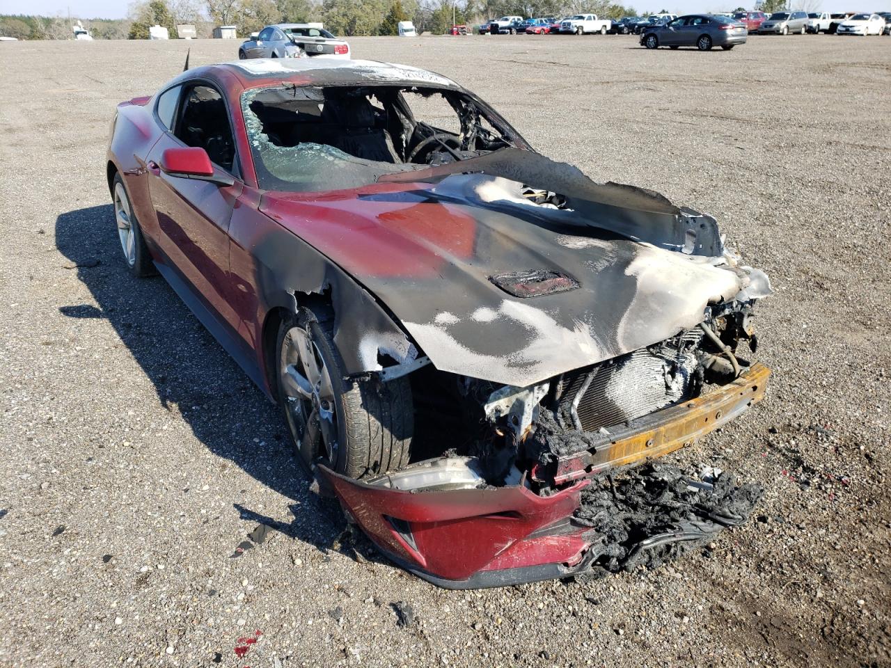 FORD MUSTANG 2019 with VIN 1FA6P8TH9K5120171 - Photo from auction