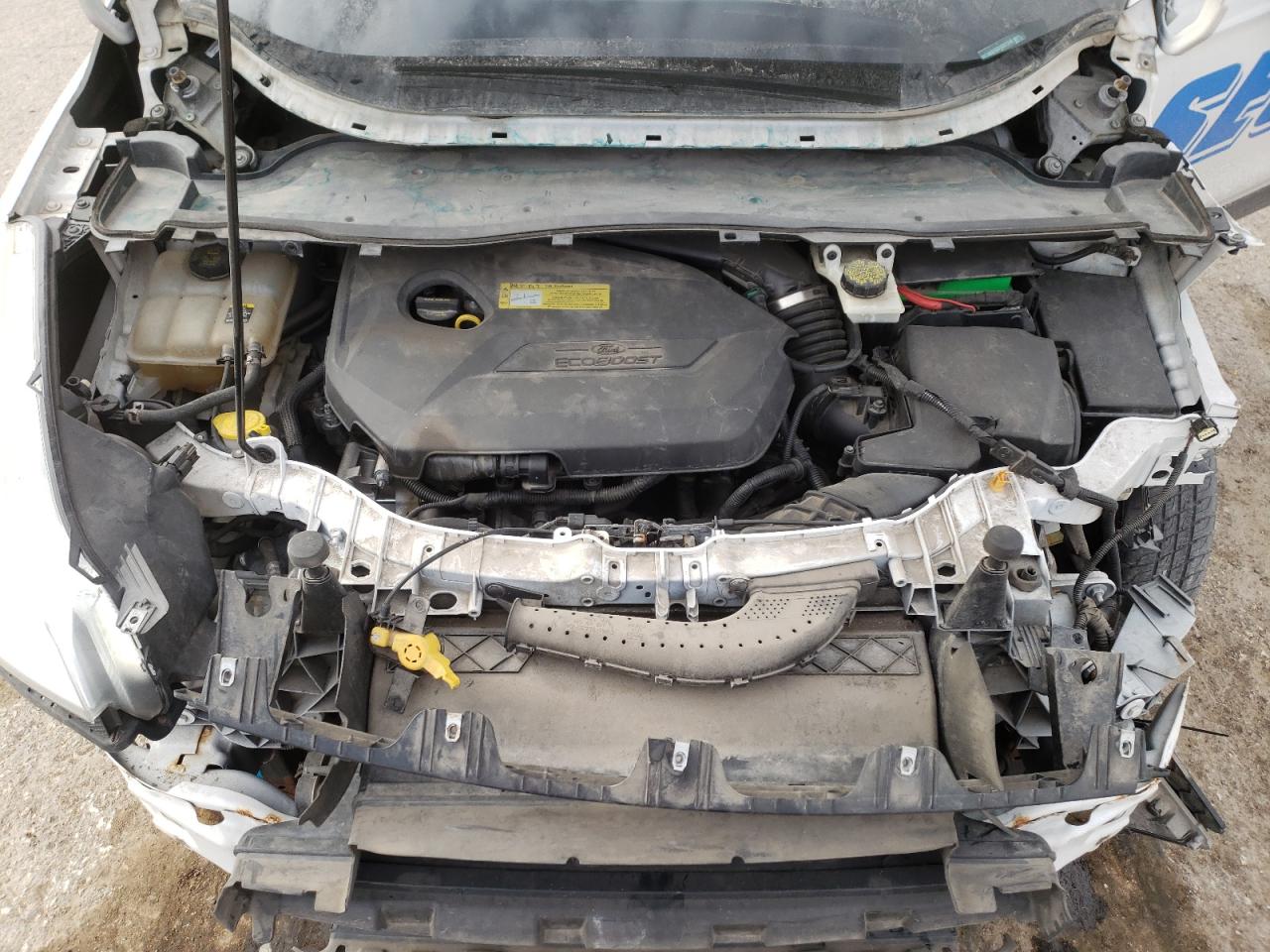 Photo 7 from auction – 2013 FORD ESCAPE SE with VIN 1FMCU0GX0DUD27240