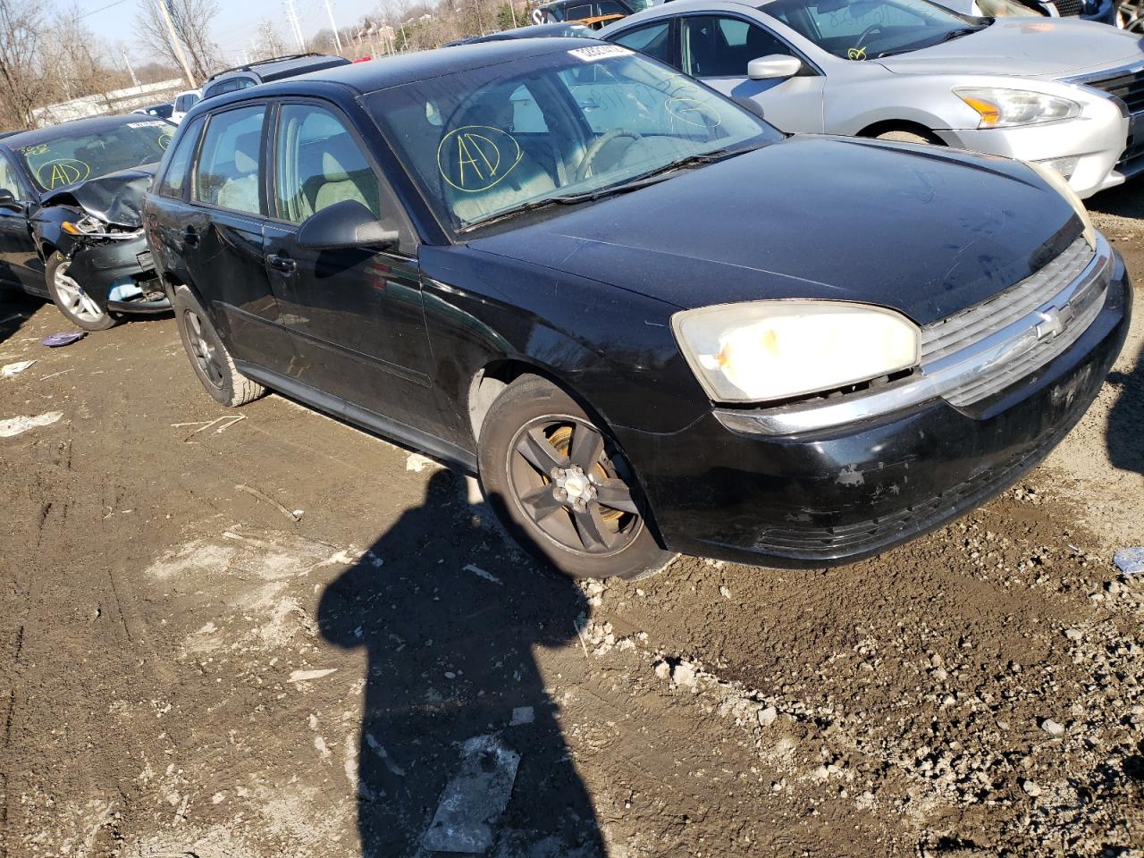 CHEVROLET MALIBU MAX 2005 with VIN 1G1ZT64865F246775 - Photo from auction