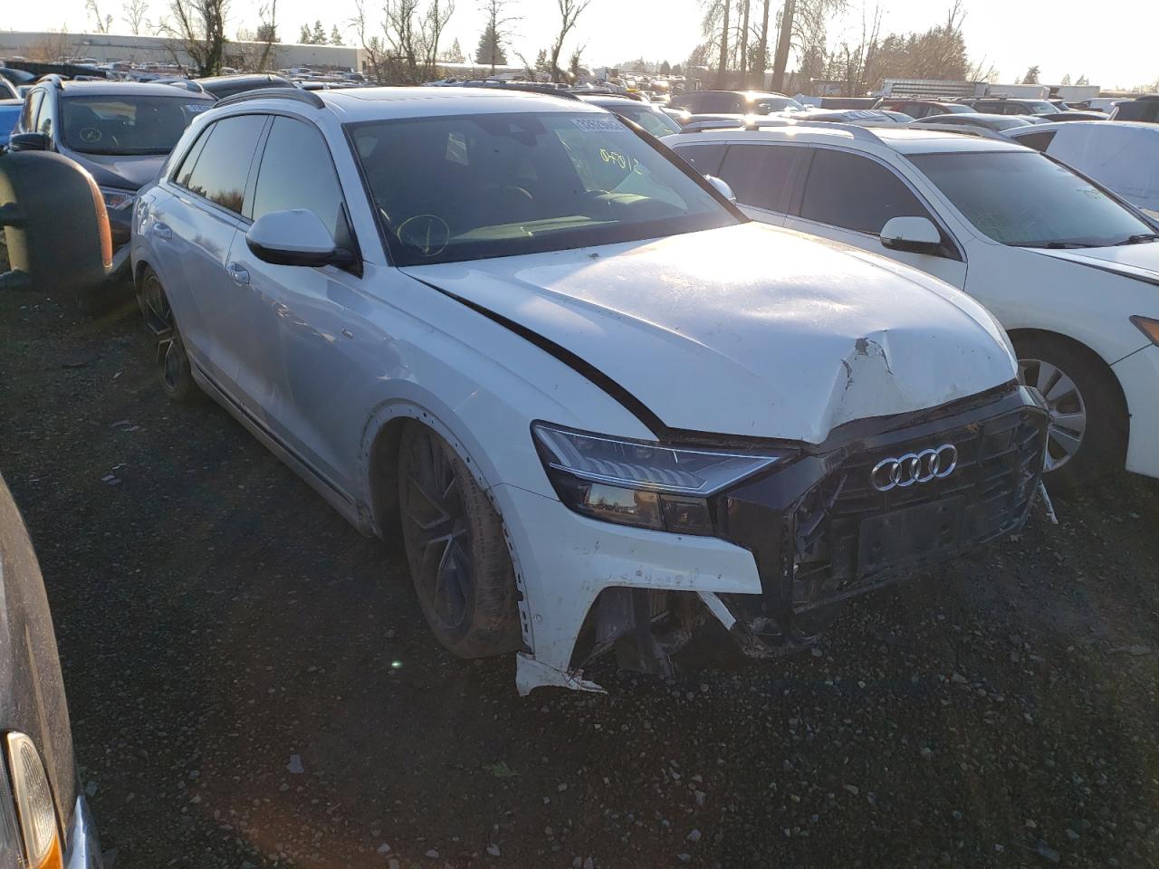 AUDI Q8 PRESTIG 2019 with VIN WA1FVAF19KD006905 - Photo from auction