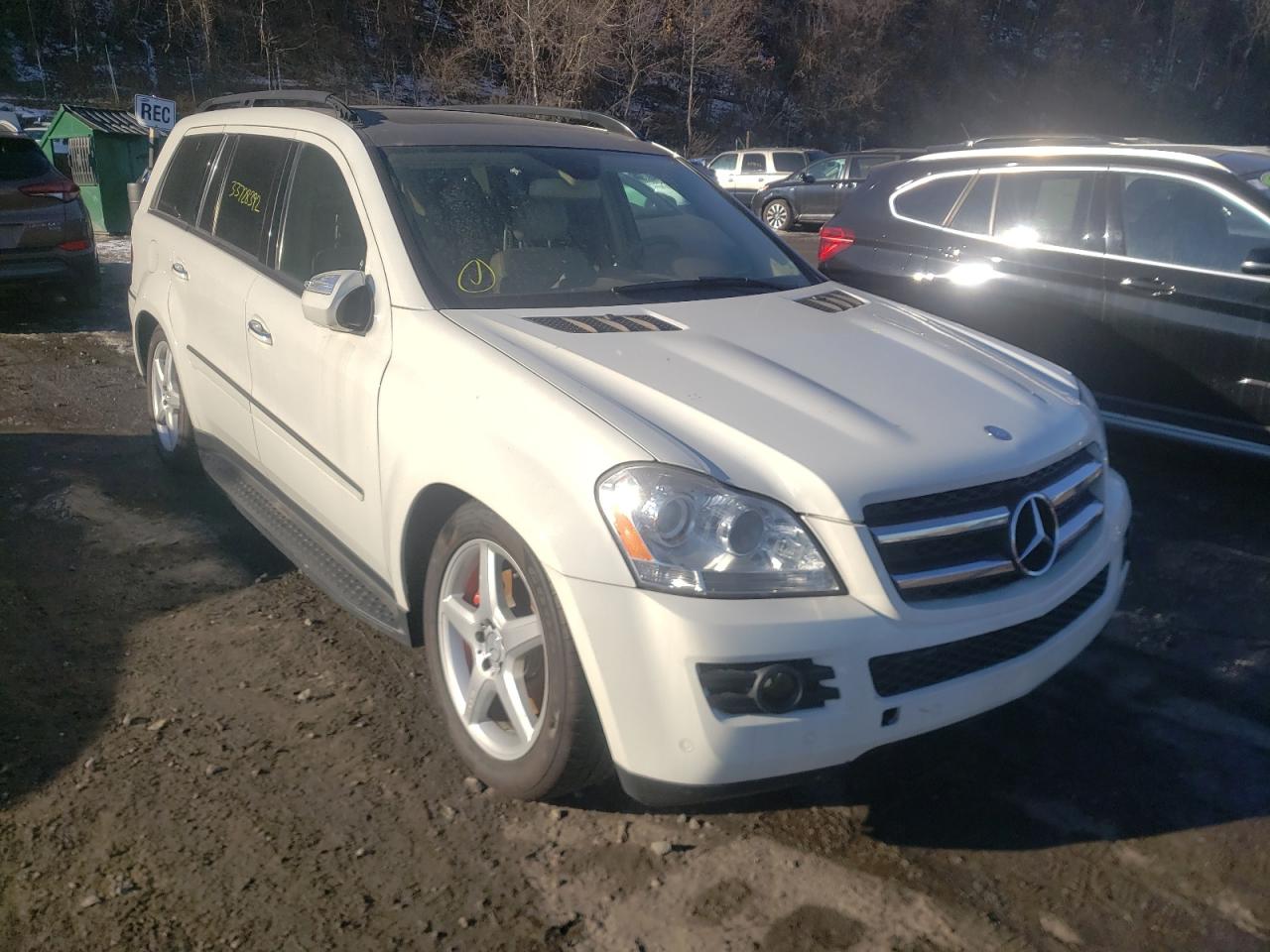MERCEDES-BENZ GL 2009 with VIN 4JGBF25E29A479077 - Photo from auction