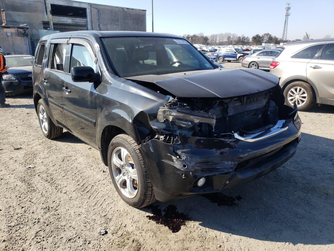 HONDA PILOT EXLN 2015 with VIN 5FNYF4H75FB032592 - Photo from auction