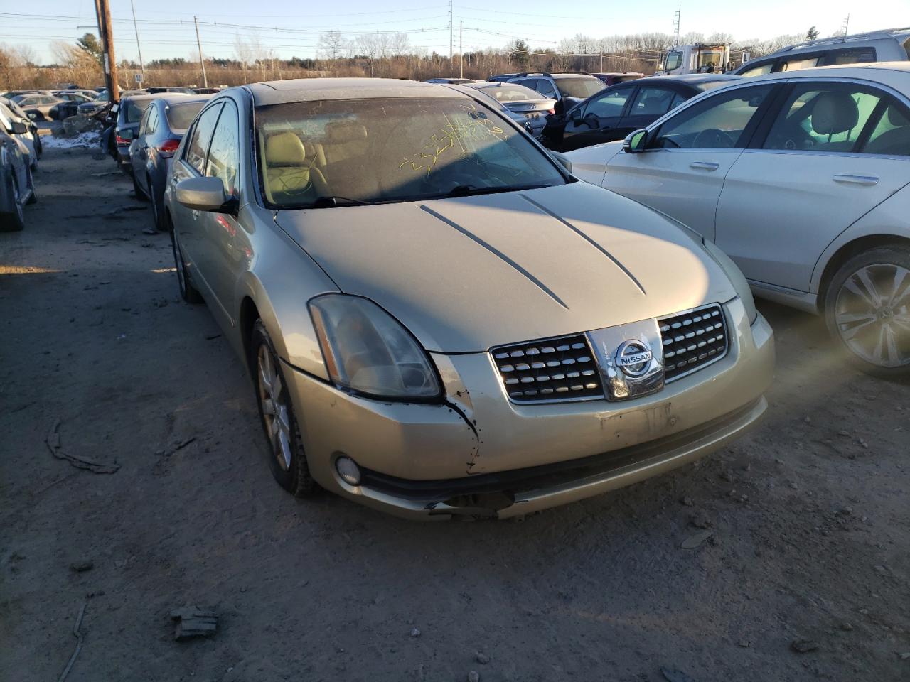 NISSAN MAXIMA 2004 with VIN 1N4BA41E84C800529 - Photo from auction