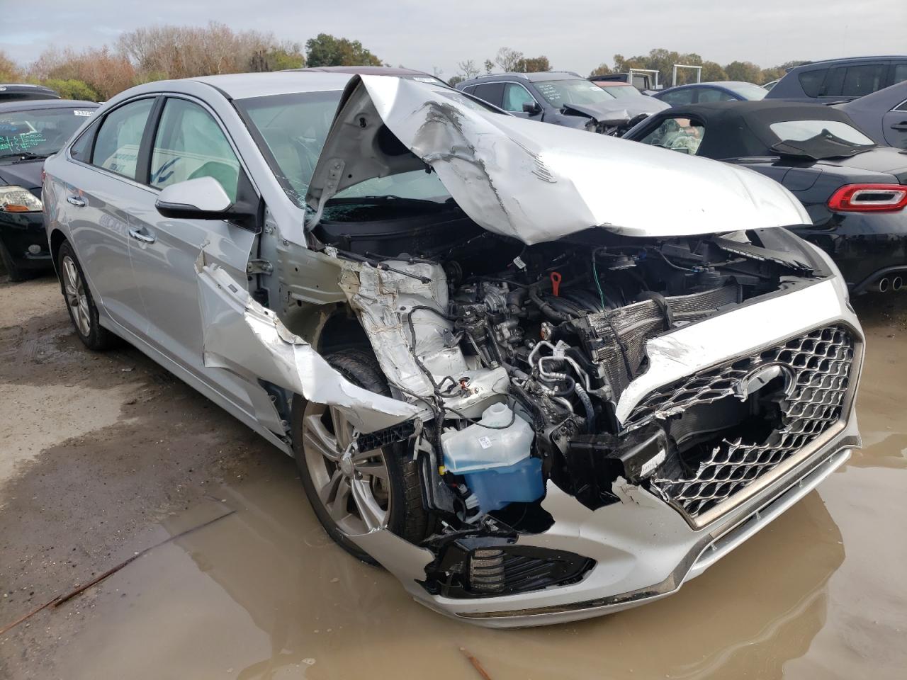 HYUNDAI SONATA LIM 2019 with VIN 5NPE34AF2KH815393 - Photo from auction