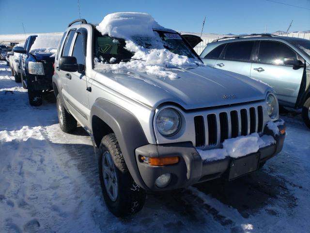 JEEP LIBERTY 2004 with VIN 1J4GL48K14W237564 - Photo from auction