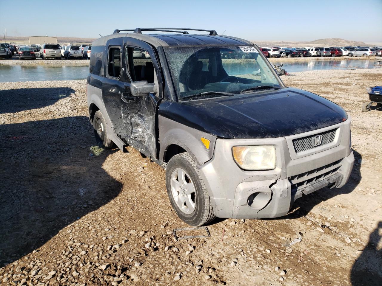 HONDA ELEMENT EX 2003 with VIN 5J6YH28573L026924 - Photo from auction