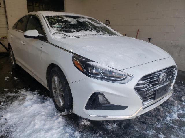 HYUNDAI SONATA 2018 with VIN 5NPE24AFXJH708593 - Photo from auction