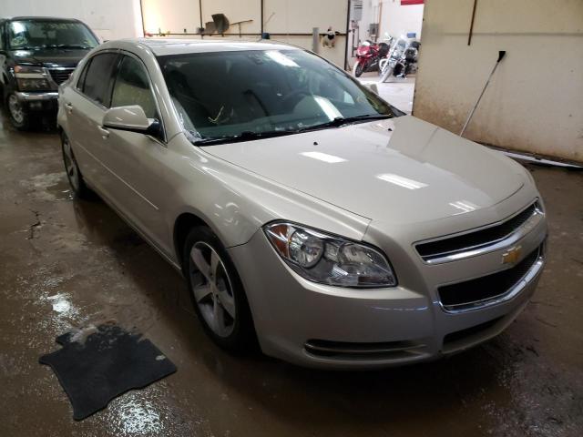 CHEVROLET MALIBU 1LT 2011 with VIN 1G1ZC5EU2BF154547 - Photo from auction