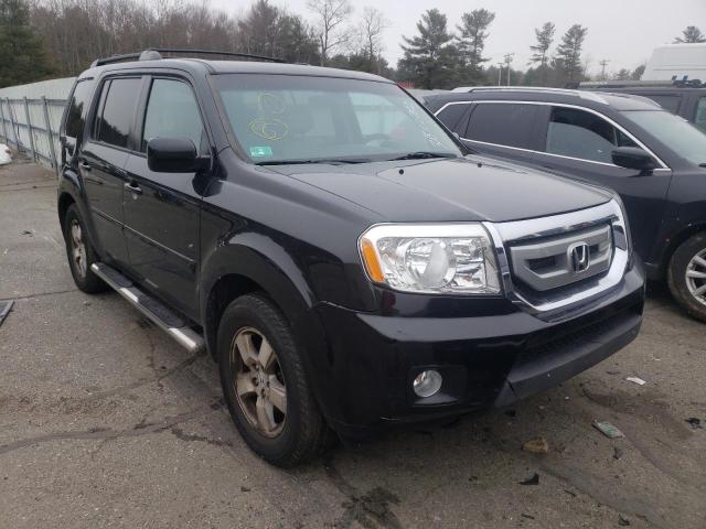 HONDA PILOT EX 2011 with VIN 5FNYF4H46BB032052 - Photo from auction