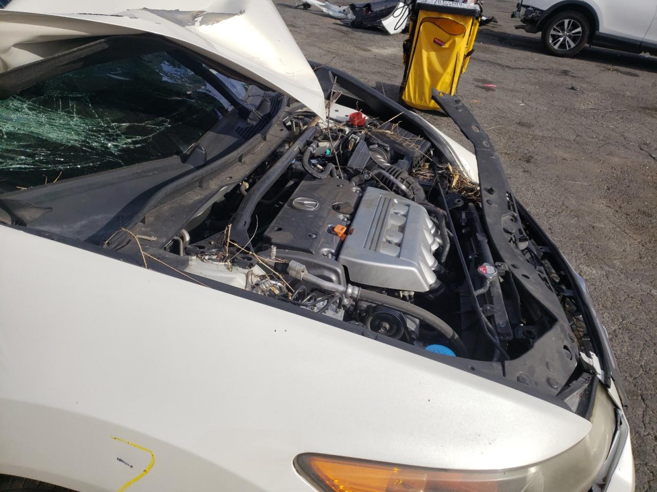 Photo 9 from auction – 2011 ACURA TSX with VIN JH4CU2F63BC003810