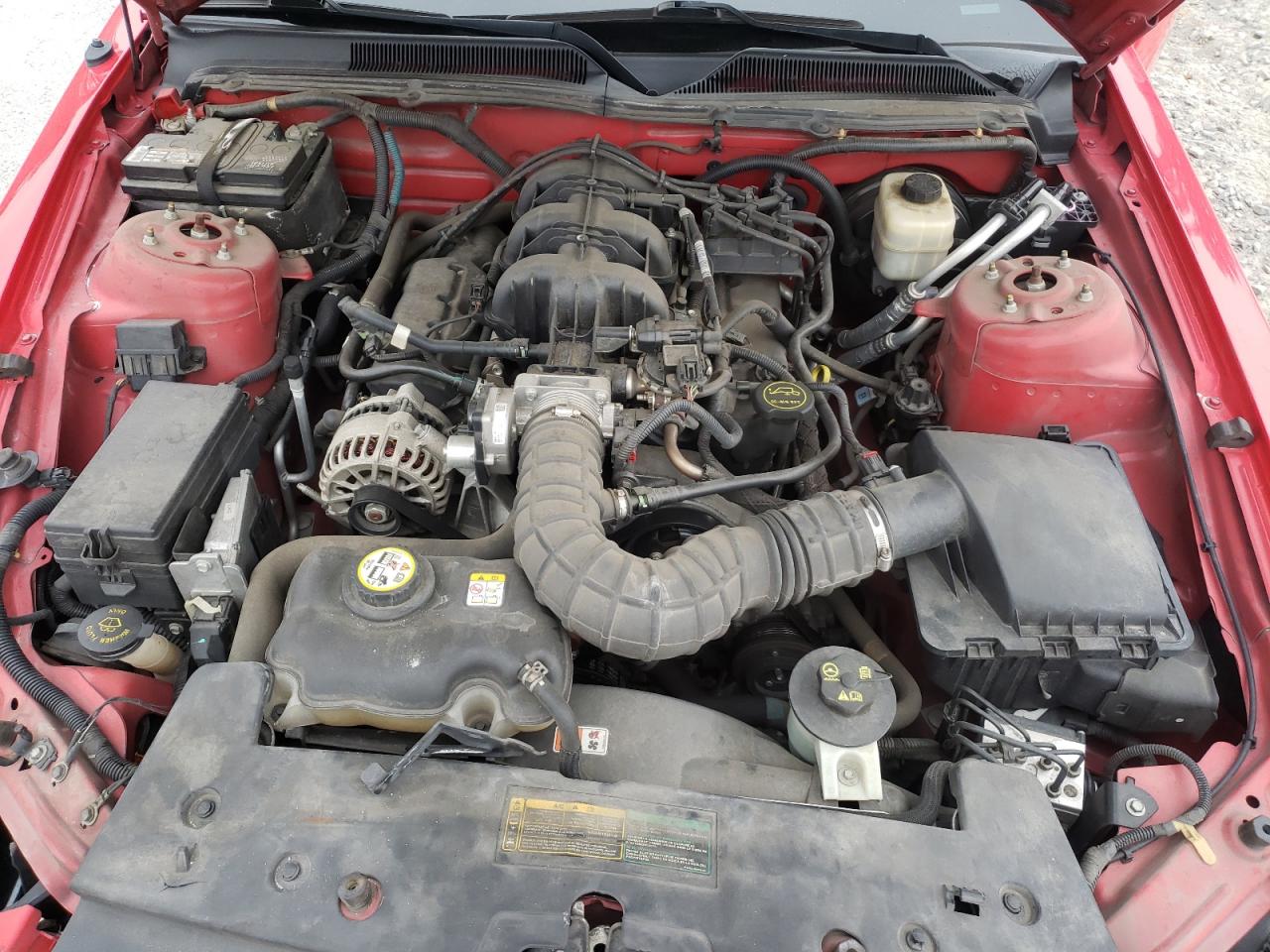Photo 7 from auction – 2008 FORD MUSTANG with VIN 1ZVHT80N185106733