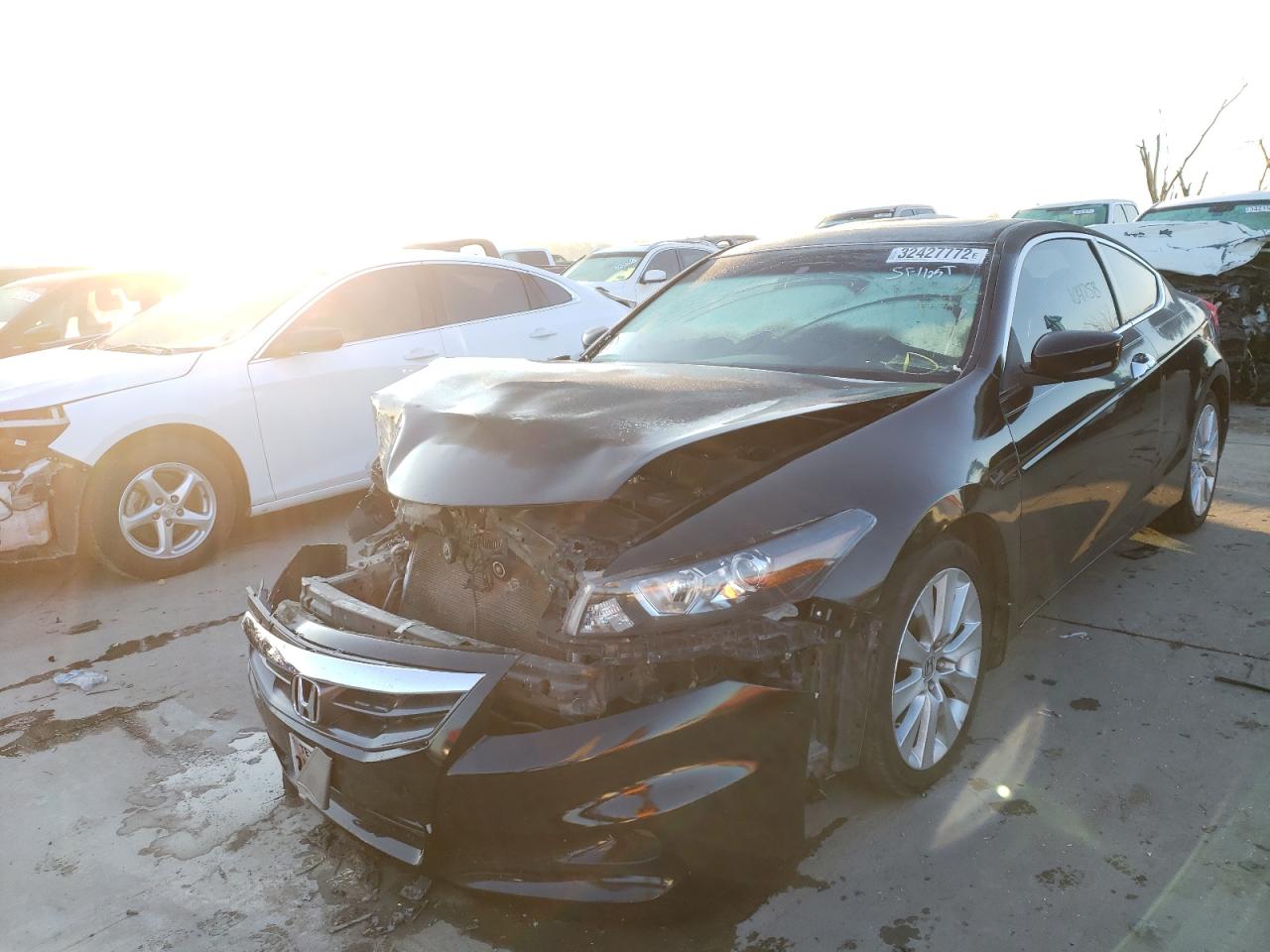 Photo 2 from auction – 2010 HONDA ACCORD EXL with VIN 1HGCS2B83AA005390