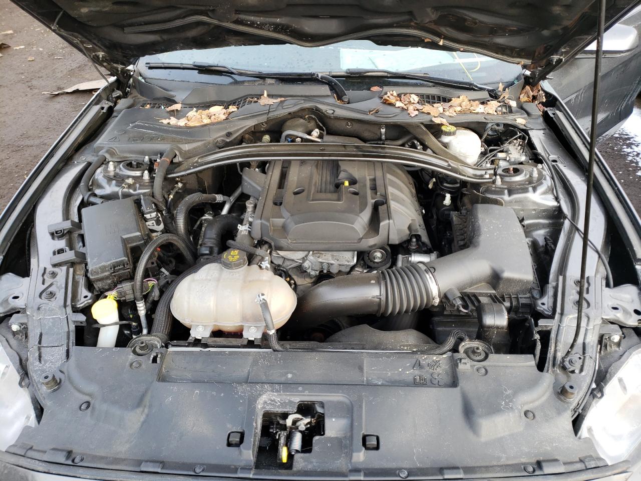 Photo 7 from auction – 2019 FORD MUSTANG with VIN 1FA6P8TH3K5114513