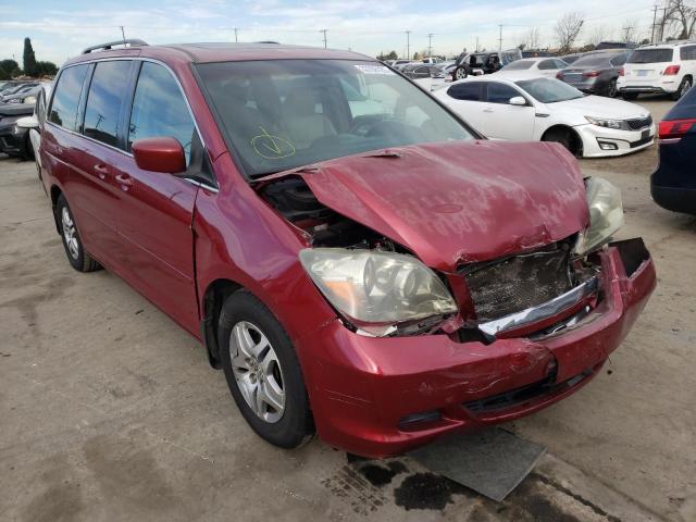 HONDA ODYSSEY EX 2005 with VIN 5FNRL38735B084499 - Photo from auction