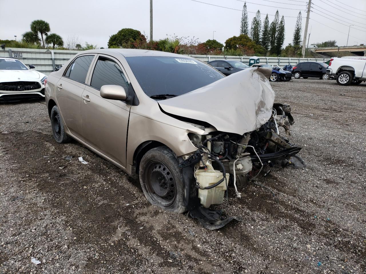 TOYOTA COROLLA BA 2010 with VIN 1NXBU4EEXAZ242079 - Photo from auction