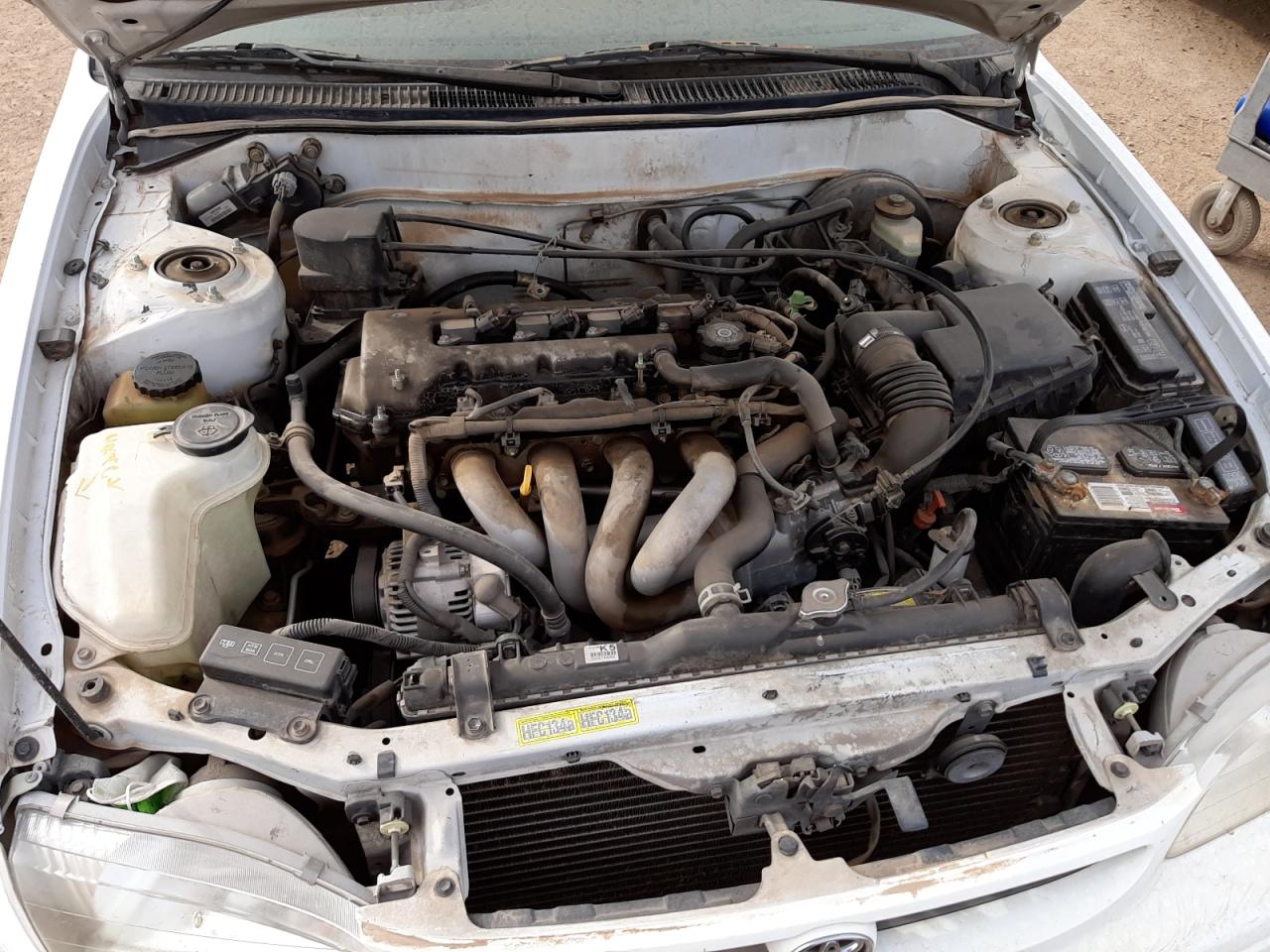 Photo 7 from auction – 2000 TOYOTA COROLLA with VIN 1NXBR12E8YZ303542