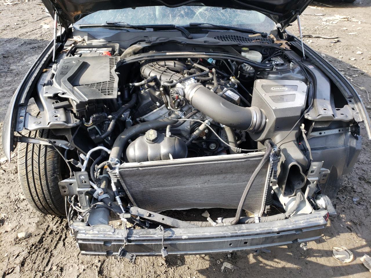 Photo 7 from auction – 2015 FORD MUSTANG with VIN 1FA6P8AM2F5378165